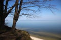 View Of Baltic Sea Royalty Free Stock Photo