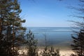 View Of Baltic Sea And Pine Royalty Free Stock Photo