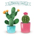 Flowering Cacti Realistic Set