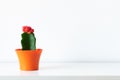 Flowering cactus plant in bright orange flower pot against white wall. House plant on white shelf with copy space. Royalty Free Stock Photo