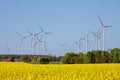 Flowering canola field with wind turbines Royalty Free Stock Photo