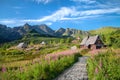 Flowering Chamaenerion in Gasienicowa Valley, Tatra Mountains Royalty Free Stock Photo