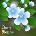 Flowering cherry. Blue flowers on a branch with green leaves and place for text. Vector