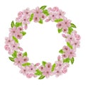 Flowering cherry , spring pink flowers. Spring wreath of blooming cherry with leaves Royalty Free Stock Photo