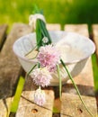 Flowering Chives Royalty Free Stock Photo