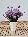 Flowering chives Royalty Free Stock Photo