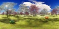 Flowering dogwood trees in orchard in spring time 3d rendering Royalty Free Stock Photo
