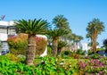 Flowering garden - pink hibiscus bushes, the mountains and palm trees Royalty Free Stock Photo