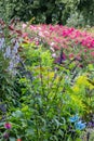 flowering garden with rose tunnel