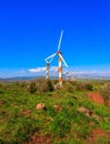 Flowering Golan Heights and windmills Royalty Free Stock Photo