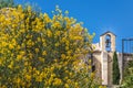 Flowering gorse and small chapel in Saint-Saturnin-les-Apt Royalty Free Stock Photo