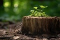 Flowering green stump. Generate AI