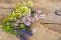 Flowering ground cover plants on wooden background.