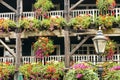 Flowering hanging baskets on old wooden structure