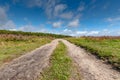 Flowering heathlands in the Netherlands Royalty Free Stock Photo