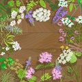 Flowering herbs on wooden background.