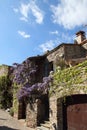 Flowering house in french village of Castelnou in Pyrenees