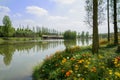 Flowering lake-shore in sunny spring