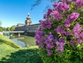 Flowering lilac at the Dresden Zwinger