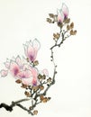 Flowering magnolia branch