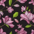 Flowering magnolia, pink color on dark background. Hand drawn colorful seamless pattern with blooming flowers. Vector Royalty Free Stock Photo