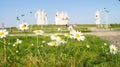 Flowering meadow in front of the Memorial of the glorious Heroes of Panfilov division, Dubosekovo, Moscow region, Russia.