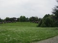 Flowering meadow at Rheinaue Park 6120