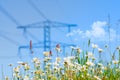 Flowering meadow with summer flowers  and grass against electricity pylons  and blue sky with clouds. Selective focus Royalty Free Stock Photo