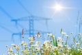 Flowering meadow with summer flowers  and grass against electricity pylons Royalty Free Stock Photo