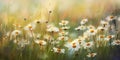 Flowering meadow white daisies, watercolor painting