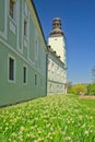 Flowering narcissus flowers in front of tower of mansion in Dubnica nad Vahom town Royalty Free Stock Photo