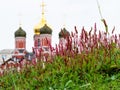 Flowering plant and church of monastery in Moscow