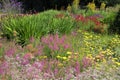 Flowering plants in Kew Gardens