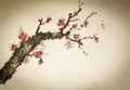 Flowering plum tree