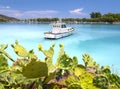 Flowering prickly pear Opuntia bushes and fishing boats in the marina of the resort town of Methana in the Peloponnese in Greece