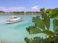 Flowering prickly pear Opuntia bushes and fishing boats in the marina of the resort town of Methana in the Peloponnese in Greece