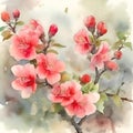 Flowering Quince watercolor