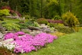 Flowering rock garden in spring. Different bushes and flowers bl Royalty Free Stock Photo