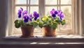 Flowering Saintpaulia. Saintpaulia flowers in a pot on the windowsill. Selective focus. AI generated