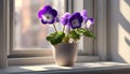 Flowering Saintpaulia. Saintpaulia flowers on the windowsill. Flowers in a pot. AI generated