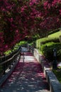 Flowering Shrubs on the Riverwalk in Augusta Georgia