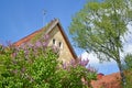 A flowering siren against the background of an old German-built house. Kaliningrad, Roditelev Street