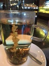 Flowering tea or blooming tea Royalty Free Stock Photo