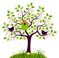 Flowering tree and birds Royalty Free Stock Photo