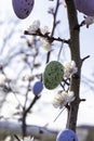 Flowering tree branches with hanging Easter colored eggs. Garden decoration for Easter. Spring bright joyful holiday Royalty Free Stock Photo