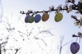Flowering tree branches with hanging Easter colored eggs. Garden decoration for Easter. Spring bright joyful holiday Royalty Free Stock Photo