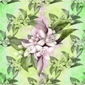 Flowering tree of the citrus family. Branch with flowers, buds and leaves. Graphic arts. Decorative composition of plants. Seamles