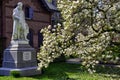 Flowering tree in front of a statue