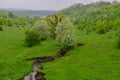 Flowering trees on the hillsides and the formation of a ravine. Soil erosion Royalty Free Stock Photo