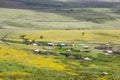 Flowering valley Ngorongoro Crater Conservation Area Royalty Free Stock Photo